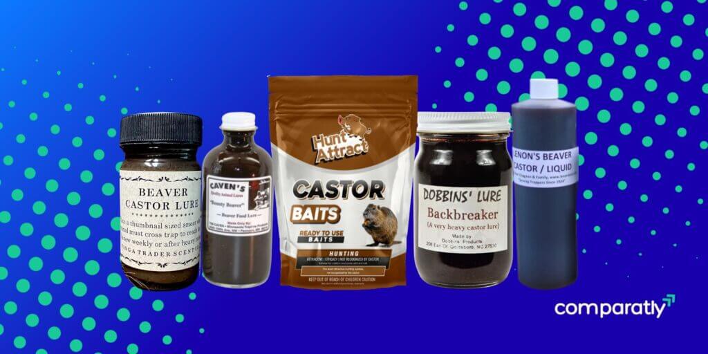 The 10 Best Castor Baits