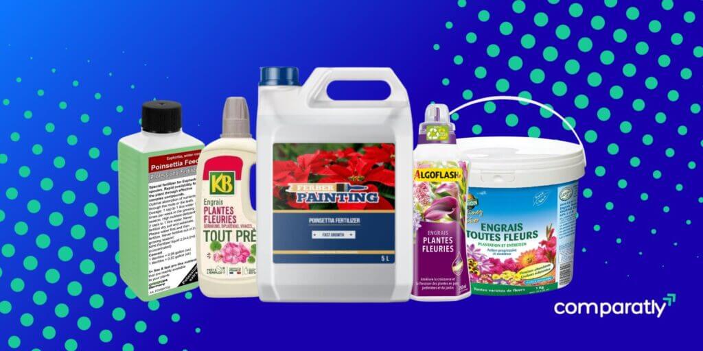De 10 beste meststoffen voor kerststerren