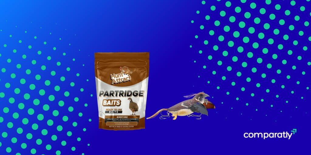 The 10 Best Partridge Baits